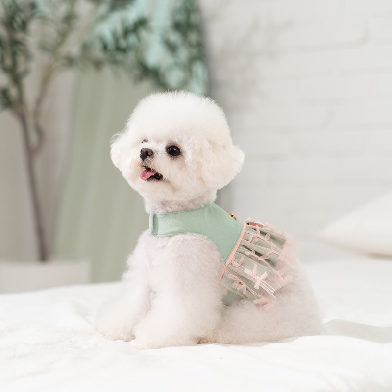 バレリーナミント 犬用ワンピースハーネス 韓国製 チチアンドコー 正規品 可愛い ミントカラー フリル 軽量 おしゃれ