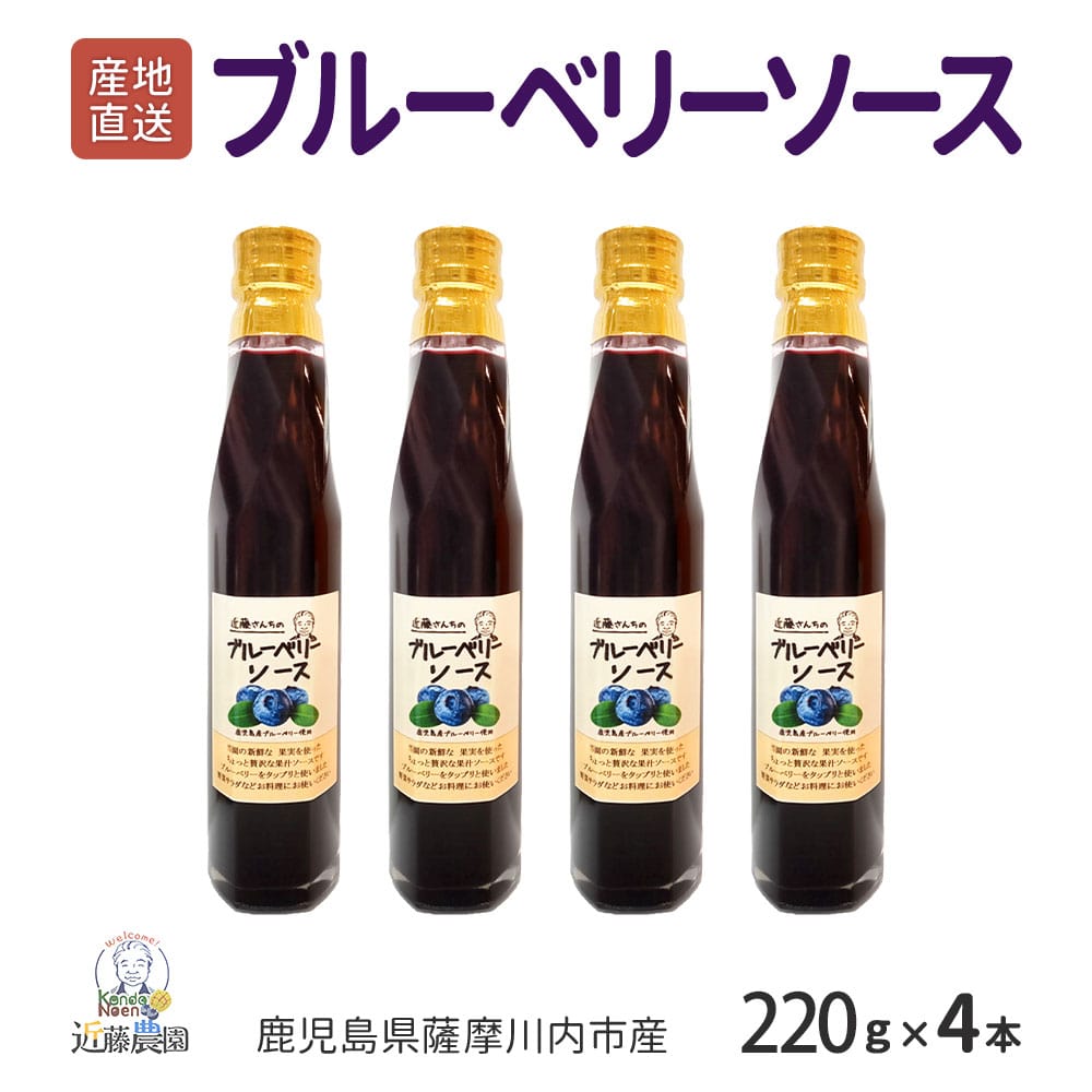 鹿児島県産 ブルーベリーソース 220g × 4本セット 近藤農園 濃厚 ブルーベリー ソース 詰め合わせ フルーツソース ヨーグルト カクテル くだもの 無添加 国産 近藤さんち お取り寄せ グル 4,960円
