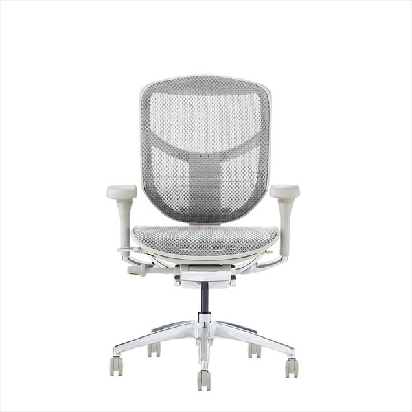 Ergohuman EJ2-LAM-GF-WH グレーフレームホワイトメッシュ ENJOY2 Low Type [ロータイプ 高機能オフィスチェア] メーカー直送 55,028円