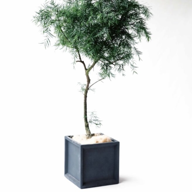 植木鉢 おしゃれ 大型 プラスチック 軽い LLキューブS FRP 39cm 正方形 穴あり 屋外 観葉植物向け