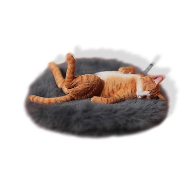 Qoo10] JXK 1/6 サイズ 猫 家猫 眠そう
