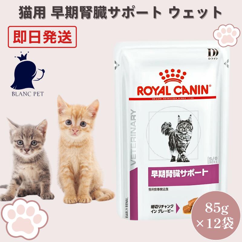 ロイヤルカナン 猫 早期腎臓サポート ウェット パウチ 療法食 85g x12袋