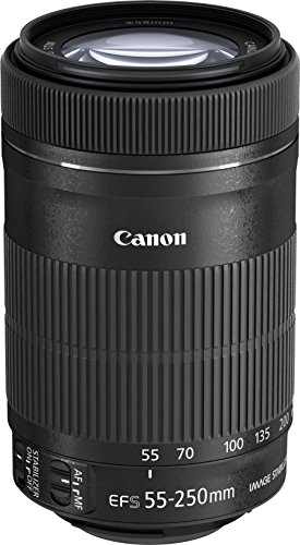 Canon キヤノン 望遠ズームレンズ EF-S55-250mm F4-5.6 IS STM APS