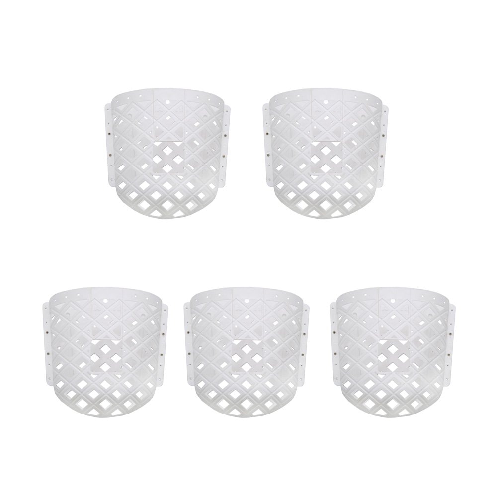 コウモリランポケット　ホワイト　ハンギング　コウモリラン　ビカクシダ　５個入り　ＣＲＣ90―62―20―00―00