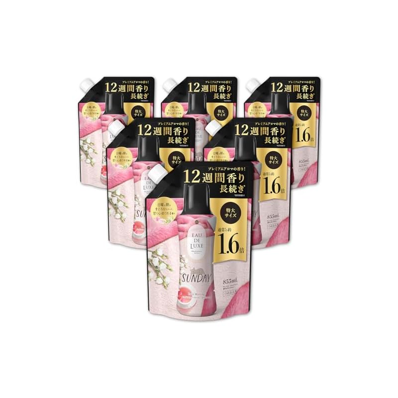 【即納】レノア オードリュクス 香り付け専用ビーズ マインドフルネスシリーズ サンデー 詰め替え 855mL×6袋 [ケース品]