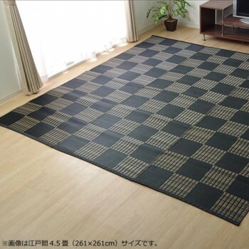 洗える PPカーペット 『ウィード』 ブラック 江戸間4.5畳（約261x261cm） 2116904