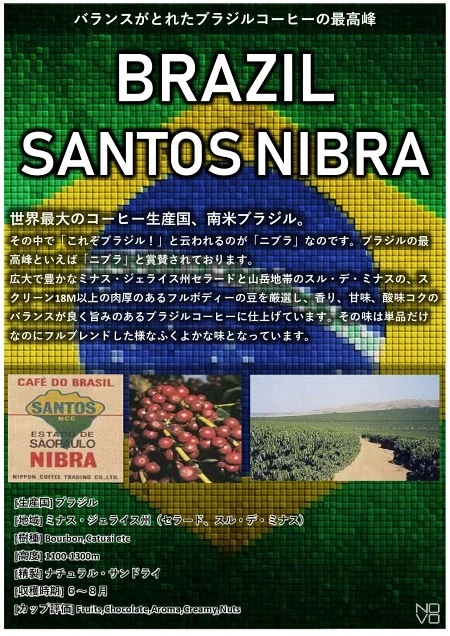 受注焙煎！2kg ブラジル サントス ニブラ 2022年クロップ [選べる焙煎度合い] コーヒー豆 大山珈琲 業務用 自家焙煎 卸レギュラーコーヒー