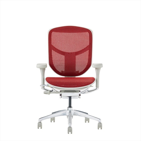 Ergohuman EJ2-LAM-GF-RD グレーフレームレッドメッシュ ENJOY2 Low Type [ロータイプ 高機能オフィスチェア] メーカー直送