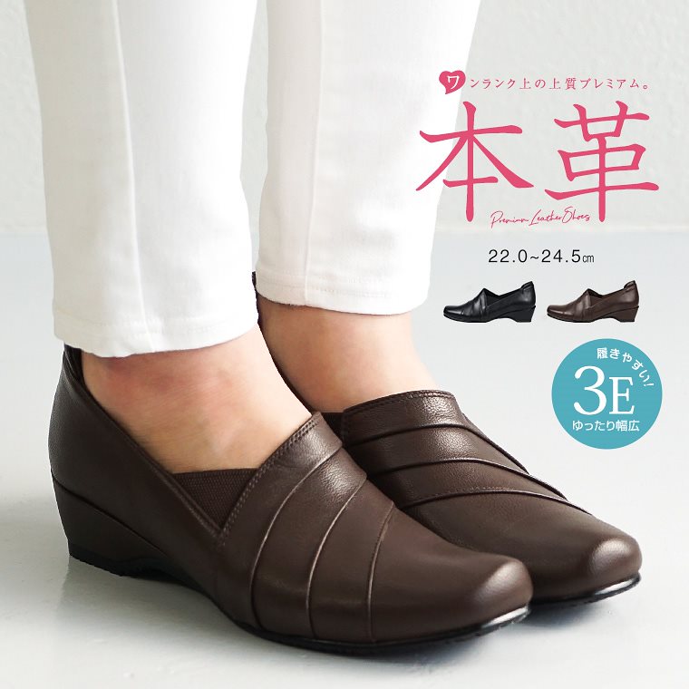 ADA LAB セラギネラ ウィルデノウィ バリエガータ 他
