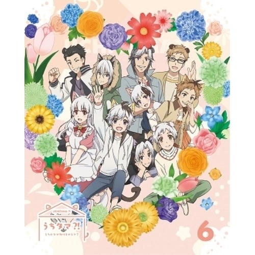 うちタマ! うちのタマ知りませんか6(完全生産限定版) ／ うちタマ! うちのタマ知りませんか (DVD) ANZB-13721