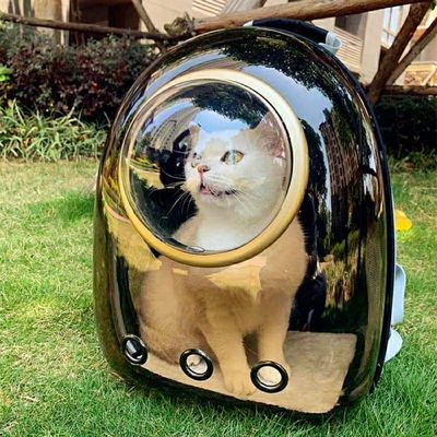 【ペット】猫 ウサギ リュック 呼吸が出来る 姿が見える キャットバック アウトショルダーバッグ カプセルペットパック 猫バックパック 猫外出バッグ ポータブルスペースバッグ クリアバッグ