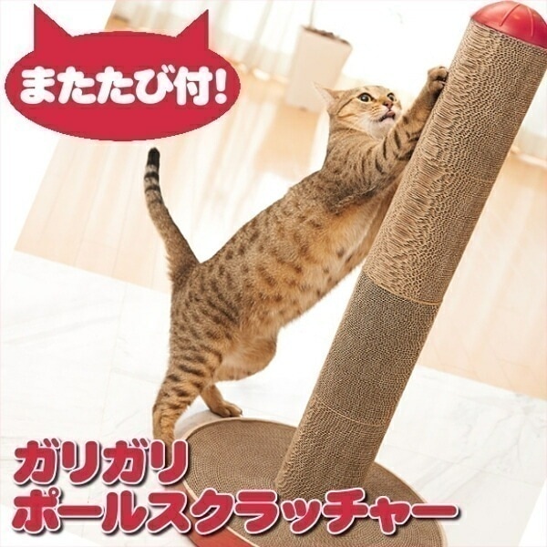エイムクリエイツ ガリガリポール スクラッチャー 猫 爪とぎ つめとぎ ポール タワー ダンボール 段ボール Pet館 ペット館 【D】
