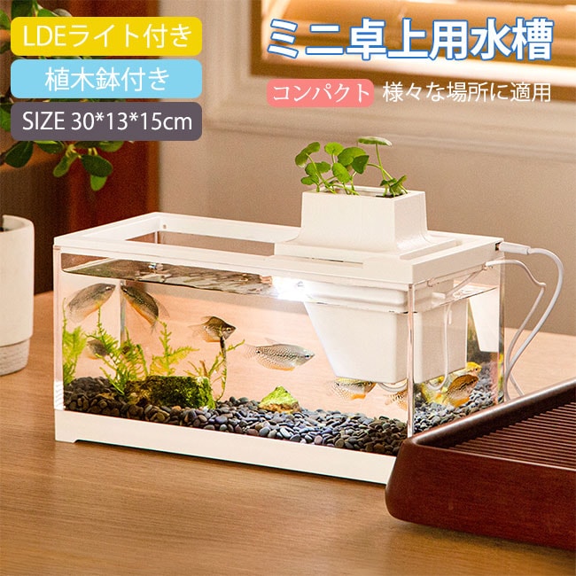 おしゃれ 水槽セット リビング 玄関 卓上 自由研究 オーナメント 水族館 コードレス セット フィルター LEDライト 植木鉢付き USB式 ミニ卓上水槽 水槽 4,789円