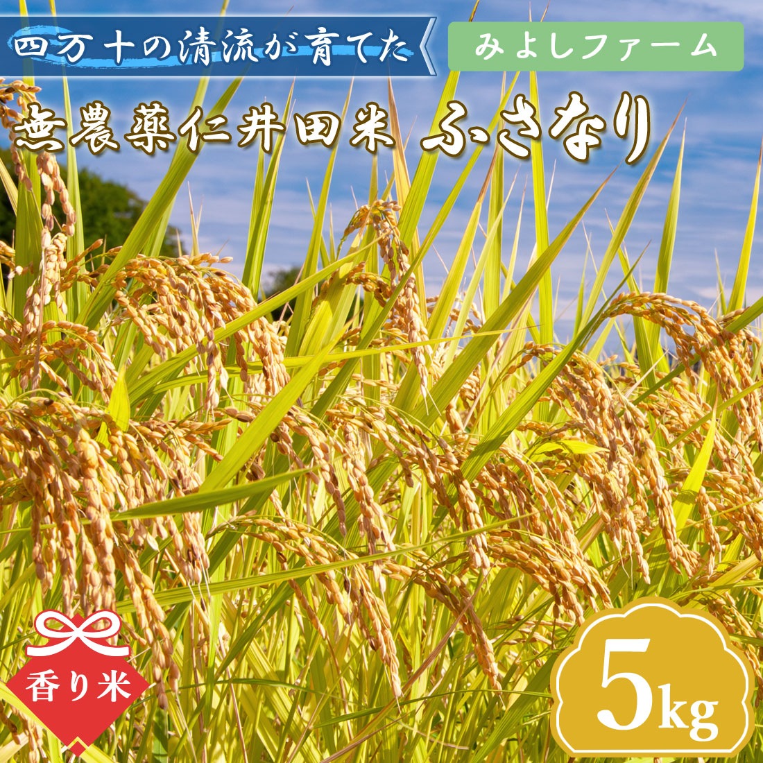 窪川産直 四万十町 まぼろしの米 ふさなり 仁井田米 5kg 令和7年産 お米 玄米 白米 コメ しまんと 窪川 高知産 国産 ブランド米 ごはん ヤマト発送