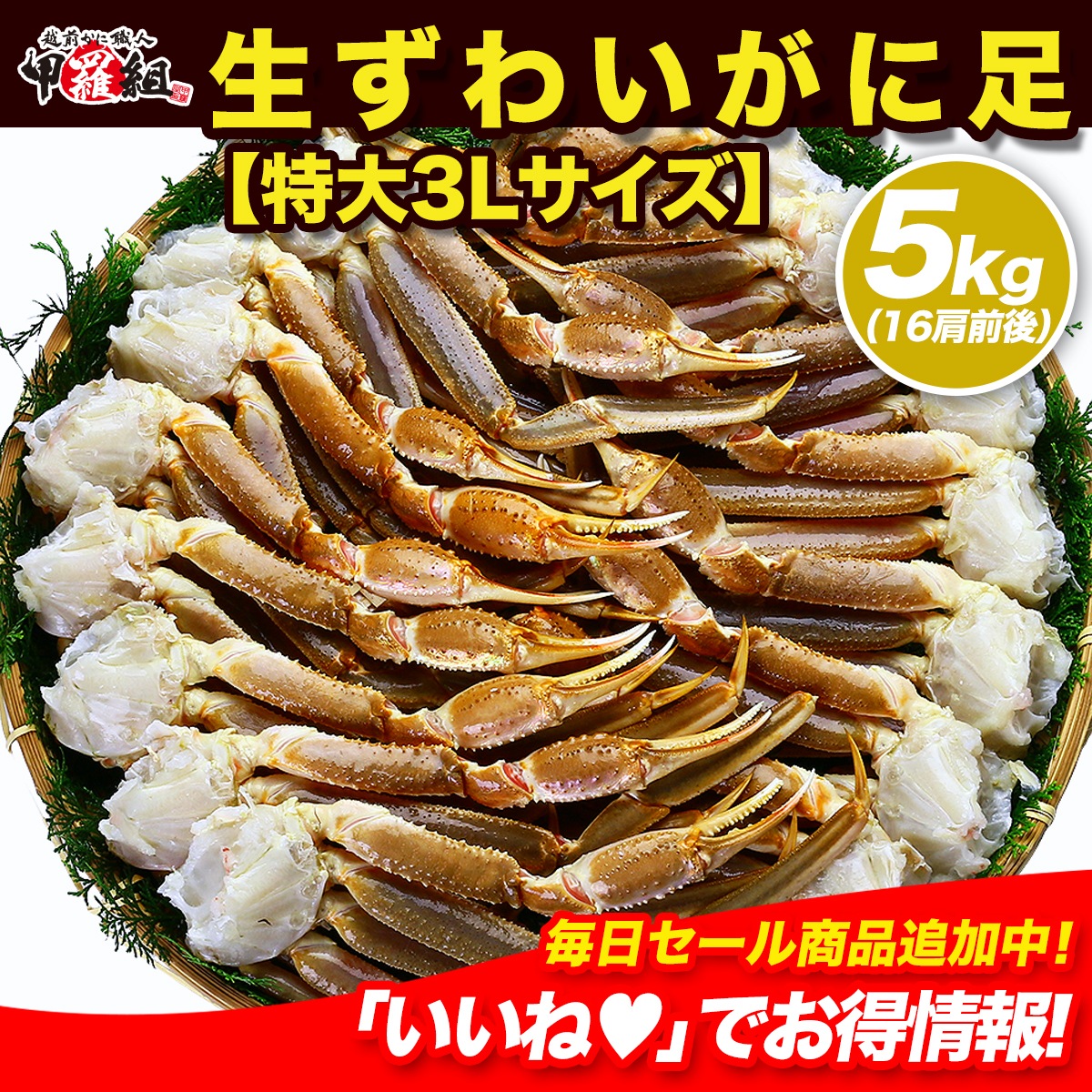 【業務用/産地箱】ロシア(マガダン)産船内凍結の一級品! 生ずわいがに足 5kg 特大3Lサイズ (約16肩入り)