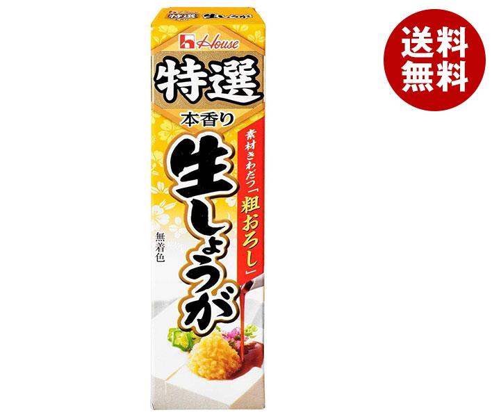 ハウス食品 特選生しょうが 40g＊10本入＊(2ケース)