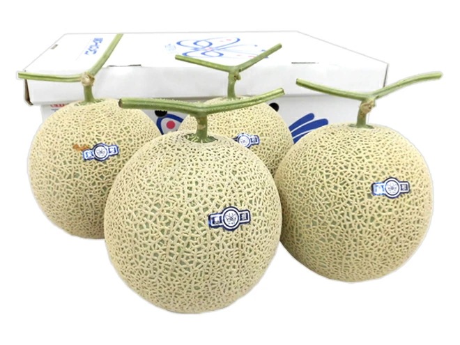 島根県 =温室マスクメロン= 秀品 大玉4-5玉 約7-8kg 予約 7月以降 6,623円