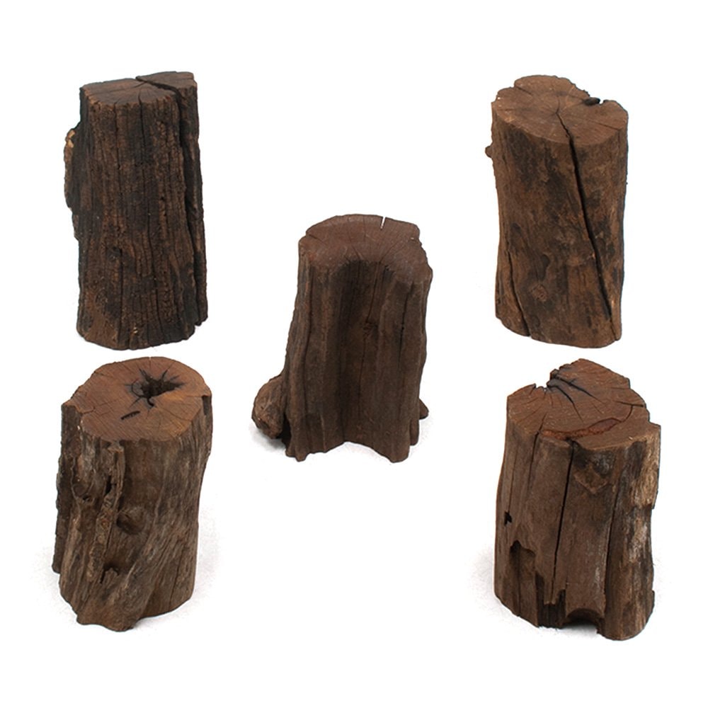 形状お任せ　煮込み済み　切り株ドリフトウッド　Ｍサイズ（約７ー９ｃｍ）　Ｈｉｇｈタイプ（高さ約１０ー１５ｃｍ）　５本　ＣＲＣ21―10―20―10―00