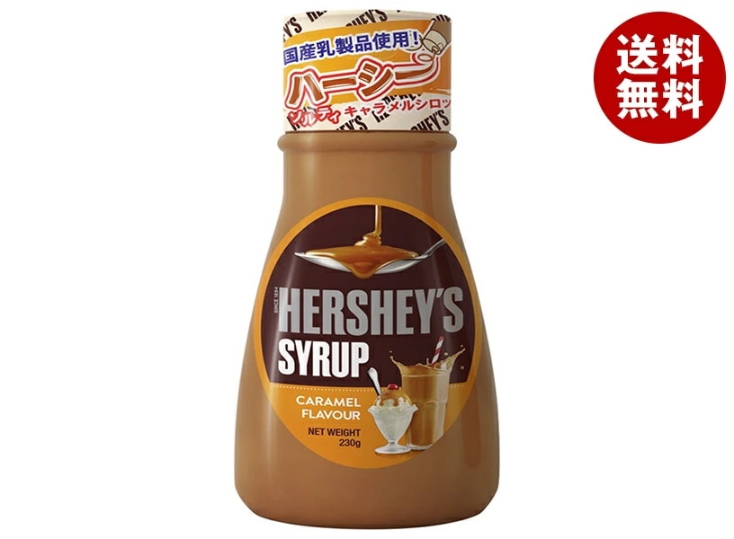 リードオフジャパン ハーシー キャラメルシロップ 230g×24本入×(2ケース)