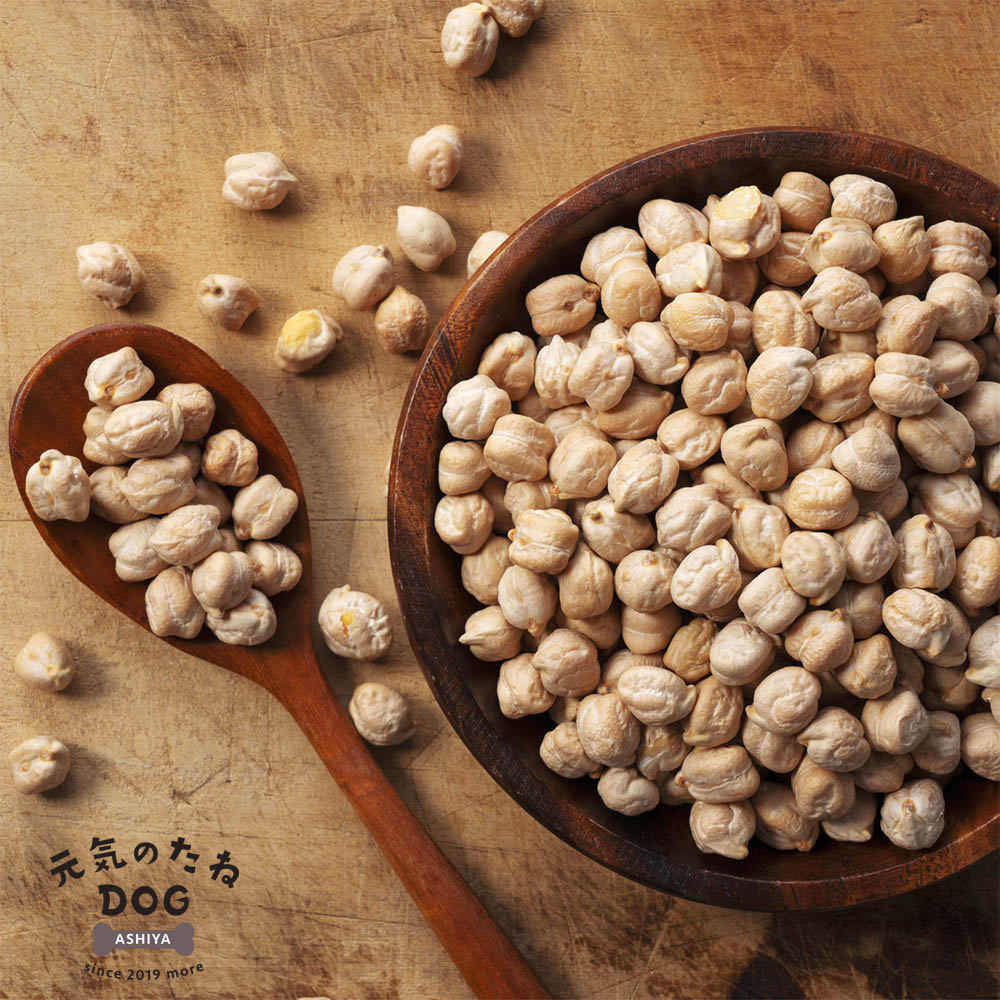 ひよこ豆 1kg 無添加 無塩 素焼き ガルバンゾー