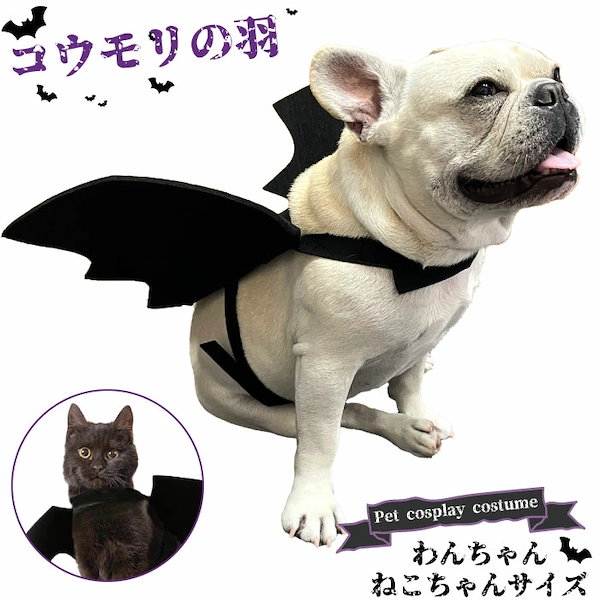 犬 人気 ハロウィン コスチューム