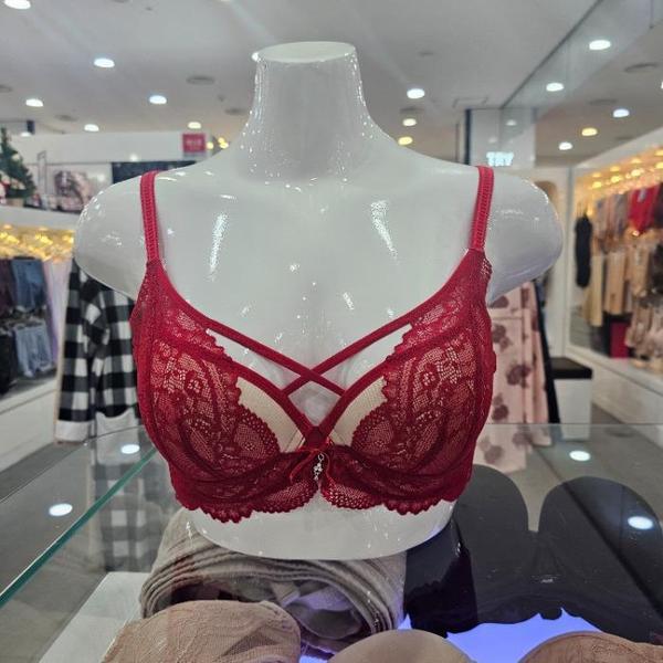 ソルブ sh06 ザ・グレース・ブラ ザ・グレース・ブラ SBRD557D (S43947035 7,089円