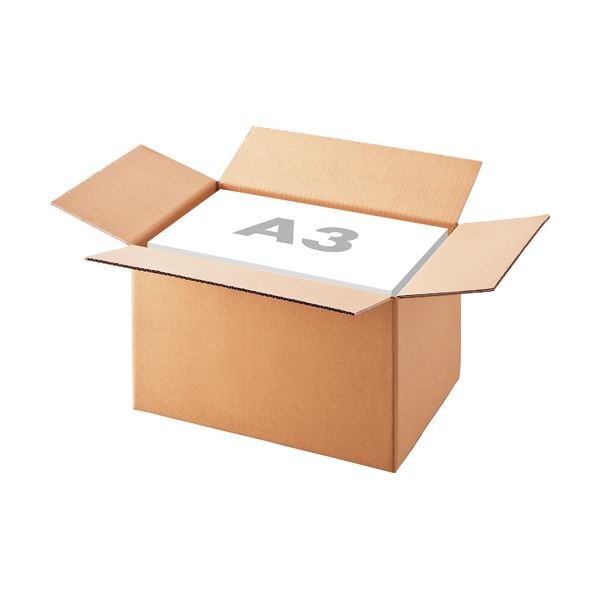 （まとめ）TANOSEE 無地ダンボール箱 A3（L）サイズ 軽量タイプ 高さ295mm 1パック（10枚） 5セット