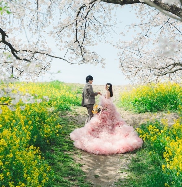 実例写真！ カラードレス ピンク パフスリーブ リボン 華やかなトレーン ソフトチュール 花嫁 前撮り フレアスカート