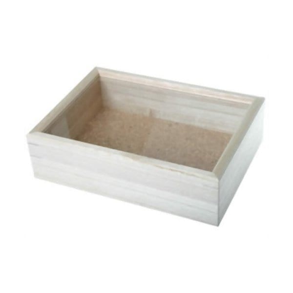 志賀昆虫 インロー硝子蓋式標本箱 (桐製コルク板敷) 小型 【3個セット】志賀昆蟲普及社 シガコン 自由研究 昆虫採集 採取