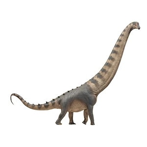 PNSO アラモサウルス 成長シリーズ 79 竜脚類 アラモのトカゲ 41.5cm 恐竜 リアル おもちゃ 科学 芸術 模型 恐竜好き プレゼント 中生代白亜紀後期