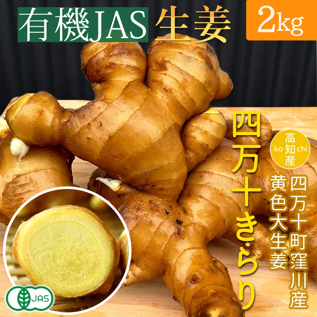 窪川産直 生姜 有機JAS 自然農法 2kg 黄色 大生姜 四万十きらり 高知産 国産 オーガニック しょうが ショウガ 2キロ 高知県産 囲い生姜 ヤマト発送