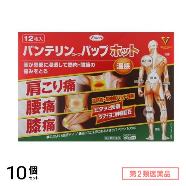 第２類医薬品 バンテリンコーワパップホット 12枚 10個セット