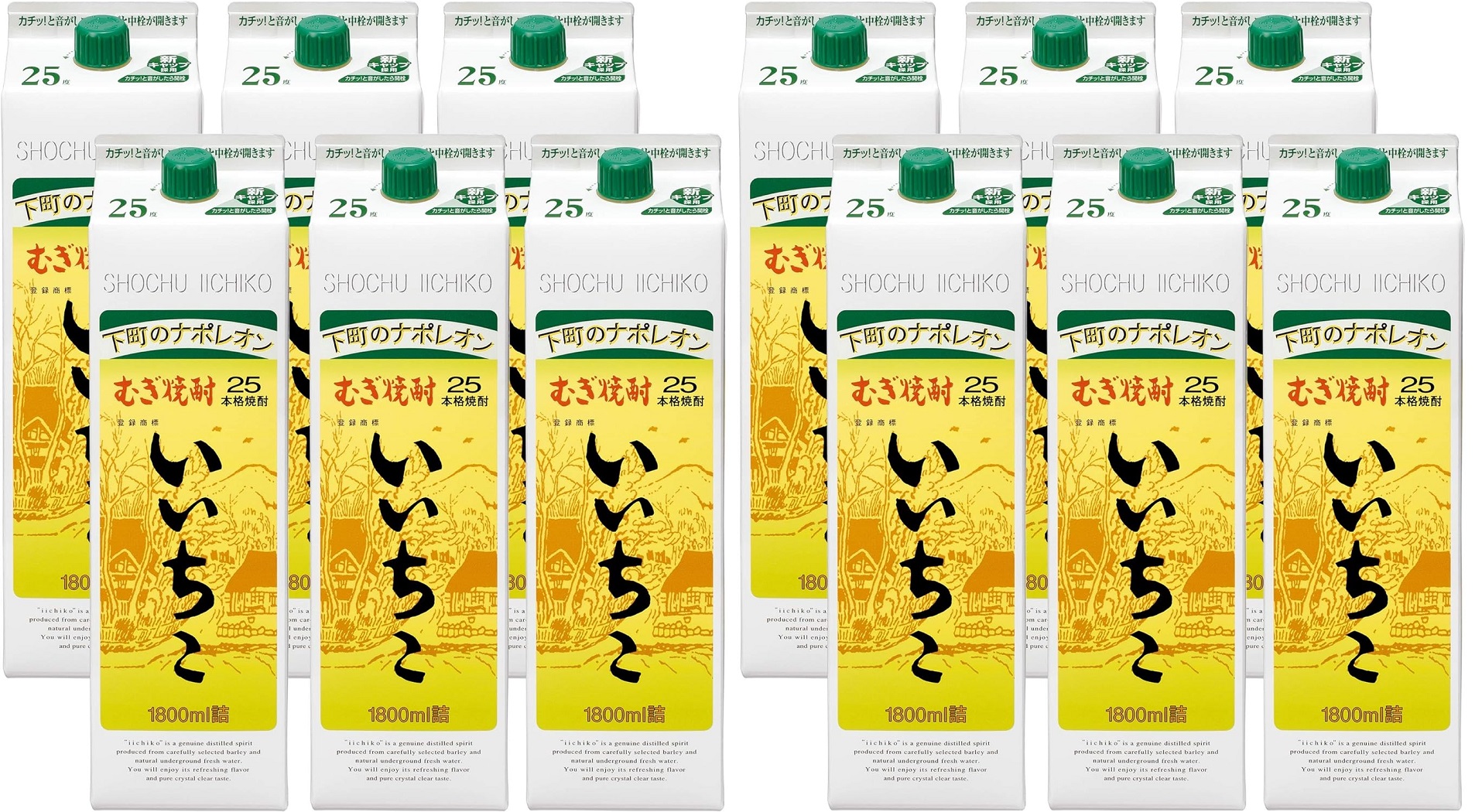 いいちこ 2ケース 12本セット 【公式通販】