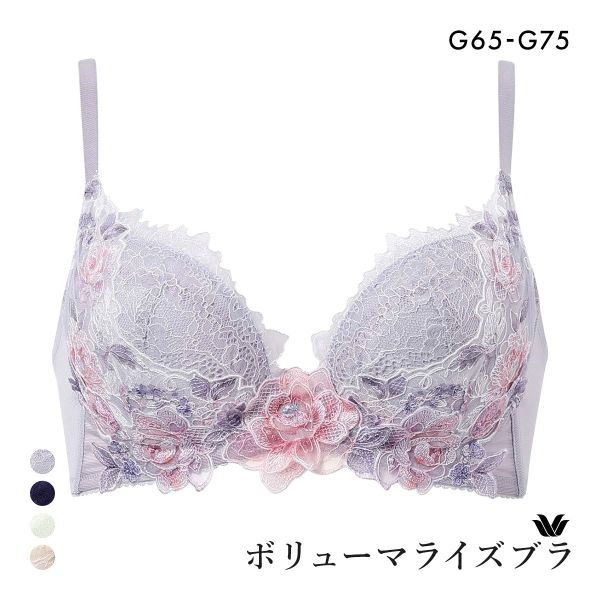 ワコール ボリューマライズブラ プレミアム 22series BXD722 22G ブラジャー G