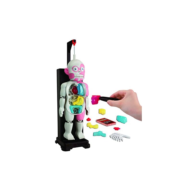 放課後の怪談シリーズ 恐怖!ドキドキクラッシュ ゾクッ人体模型