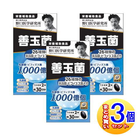 【3個セット】野口医学研究所 善玉菌 60粒【小型宅配便】