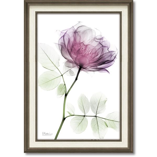 ユーパワー X-RAYキャンバスアート 「ラウンドローズ」（Mサイズ）