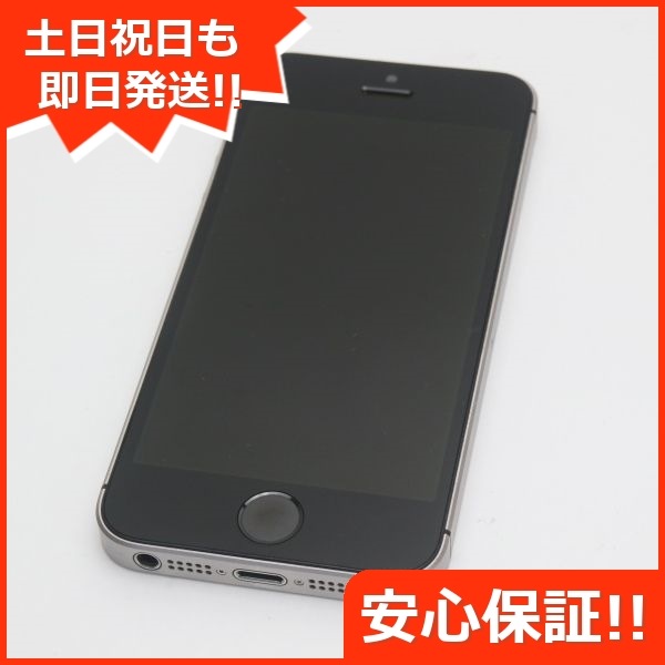 豪華 美品 SIMフリー iPhoneSE 16GB スペースグレイ 204 Apple