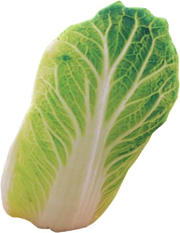 ぬいぐるみ　リアル　野菜　果物　50cm　抱きまくら　可愛い　面白い　もちもち　おもちゃ　男の子　女の子　恋人　お誕生日プレゼント　クリスマス　新年贈り物　装飾