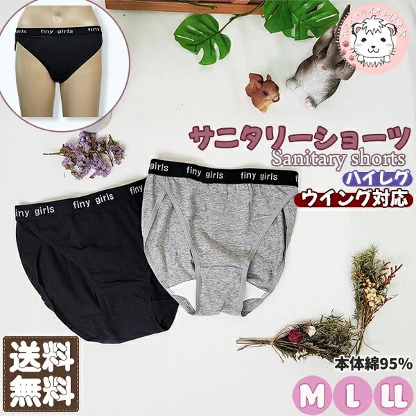 サニタリーショーツ ウイング対応 ハイレグ ショーツタイプ 生理用ショーツ 10枚セット