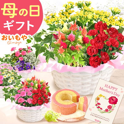 母の日 母の日のプレゼント 寄せ植え 母の日ギフト ...のサムネイル