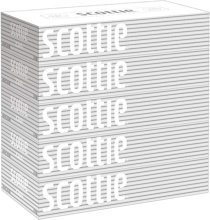 日本製紙クレシア スコッティ (SCOTTIE) ティッシュペーパー 200組5箱×12パッ