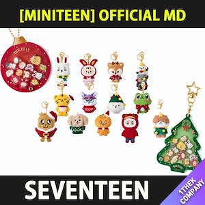ミニティーン seventeen