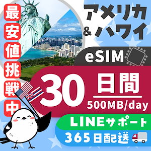 【アメリカ＆ハワイeSIM】簡単設定／使用日数：３０日間／データ容量：５００MB（day）／有効期限90日／最短即日発行