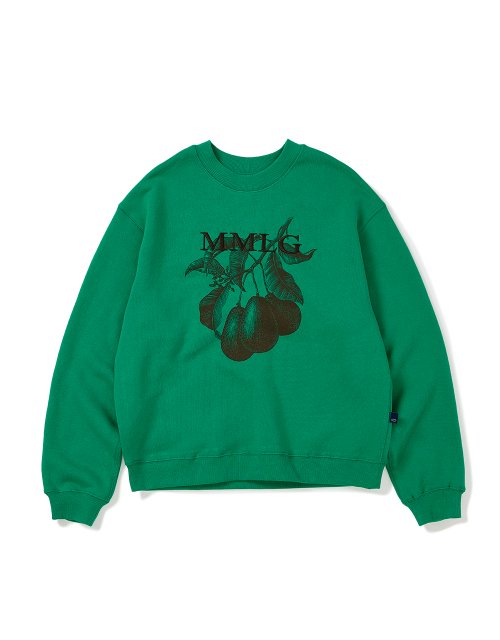 AVO SWEAT 韓国正規品