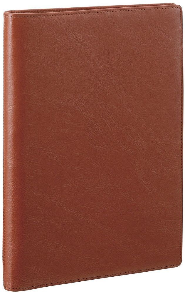 （まとめ買い）ダヴィンチ スタンダード スリムシステム手帳 A5 ブラウン JDA3003C [x3]