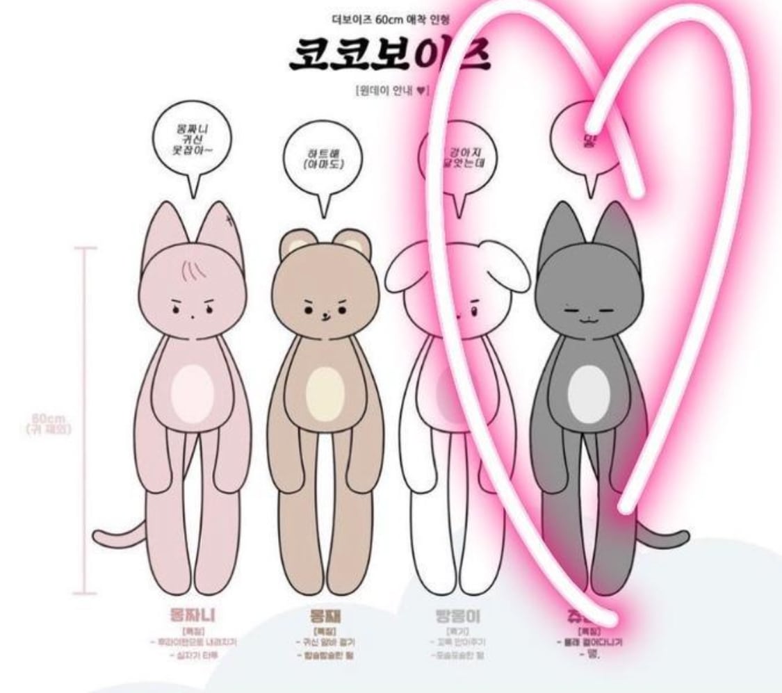 The boyz ジュヨン ココボーイズ 60CM ぬいぐるみ ジュモンイ マスタニム マスター 주연 JUYEON 李柱延 イジュヨン