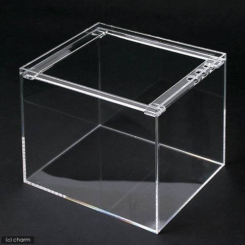 水槽　アクリル水槽　ラクシス　Ｎｏ．１２　（３００X２５０X２５０ｍｍ）　３０ｃｍ水槽　ＣＲＣ10―11―04―20―00