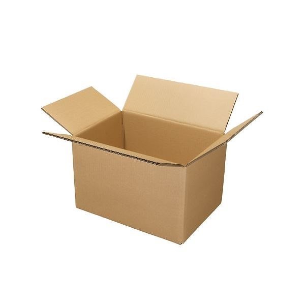 （まとめ） ジョインテックス Wフルートダンボール箱 大10枚 B239J-L[x5セット]