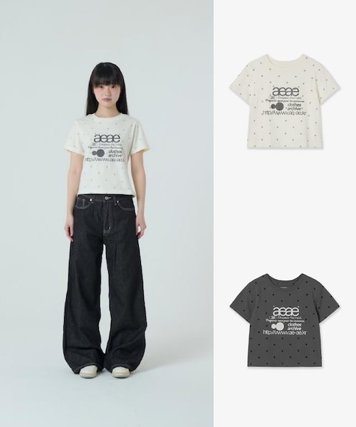 AEAE★韓国★人気★USA BANNER HENLY NECK TEE 半袖 ロゴTシャツ セール】USA BANNER HENLY NECK TEE（Tシャツ/カットソー
